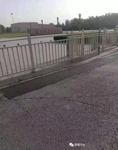 市政工程管理處全力推進市政道路設(shè)施精細化養(yǎng)護